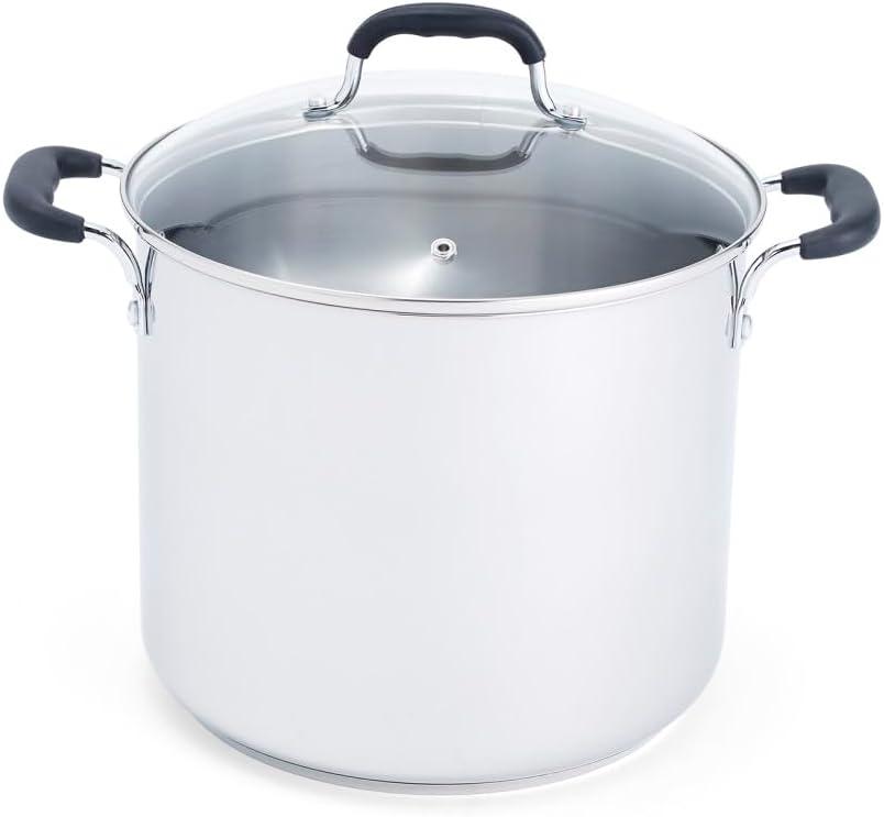 T-fal Stainless Steel 12 qt. Stockpot with lid & Reviews | Wayfair