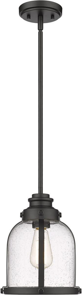 Z-Lite Burren 1 - Light Pendant in  Matte Black