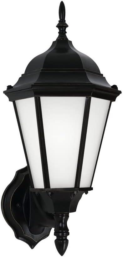 Bakersville 17" Black Transitional Outdoor Wall Lantern