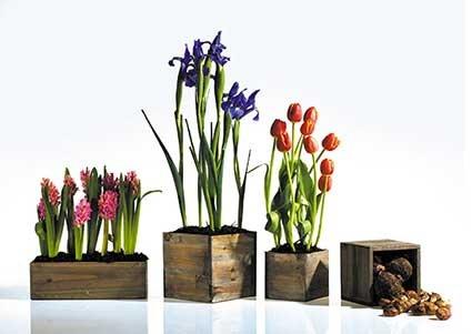 Wood Planter Box, 5 Inch Square, Rustic Barn Wood, Plastic Liner, Garden Centerpiece Display, Wedding Flowers Holder, Home and Venue Decor, (Set of 4)