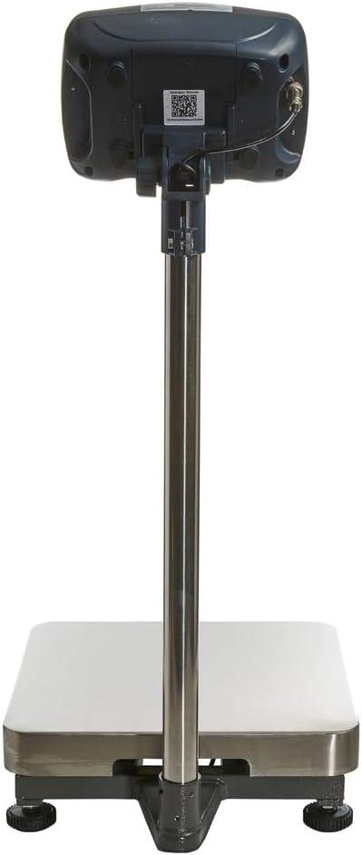 Stainless Steel Digital Bench Scale with LCD Display, 600lb Capacity