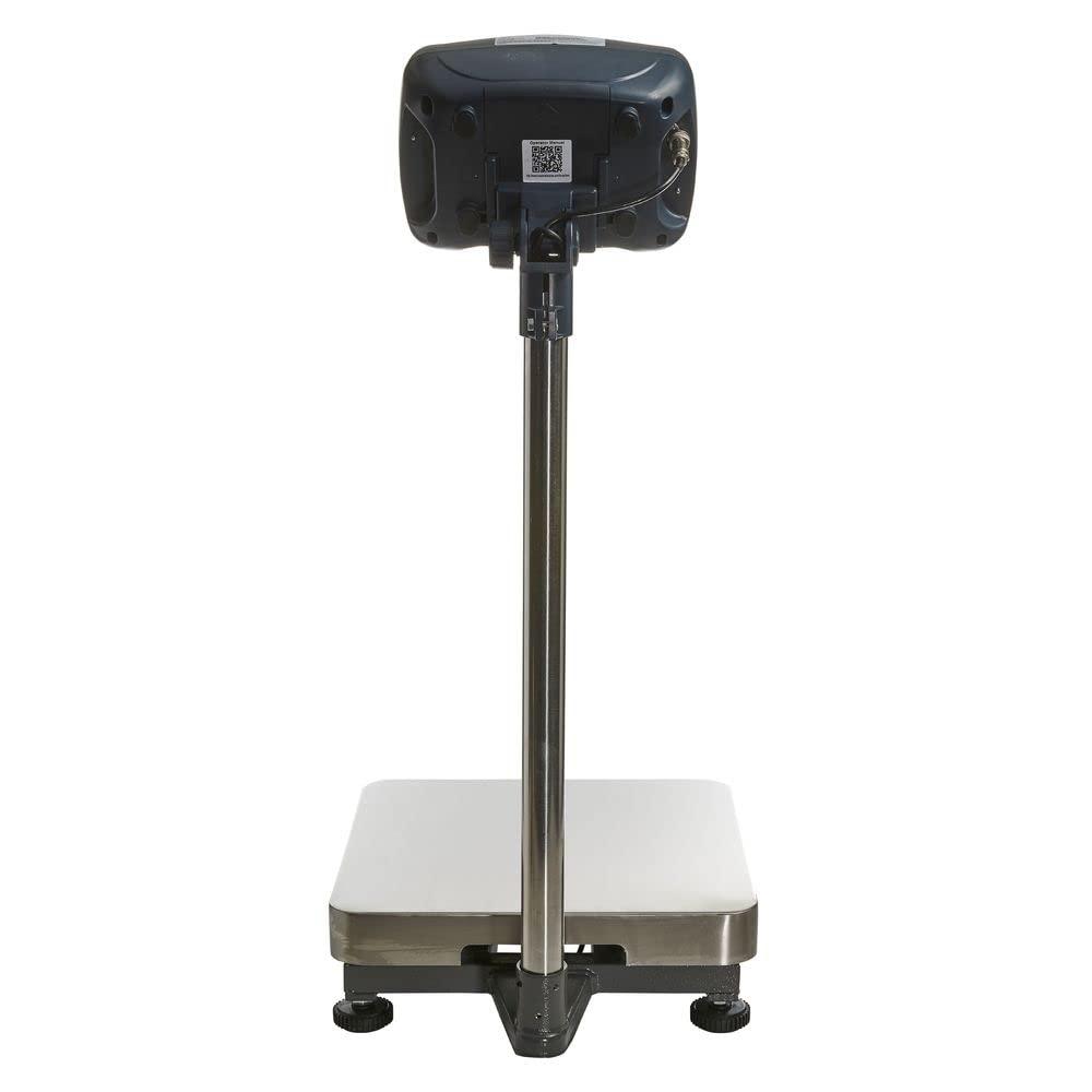 Stainless Steel Digital Bench Scale with LCD Display, 600lb Capacity