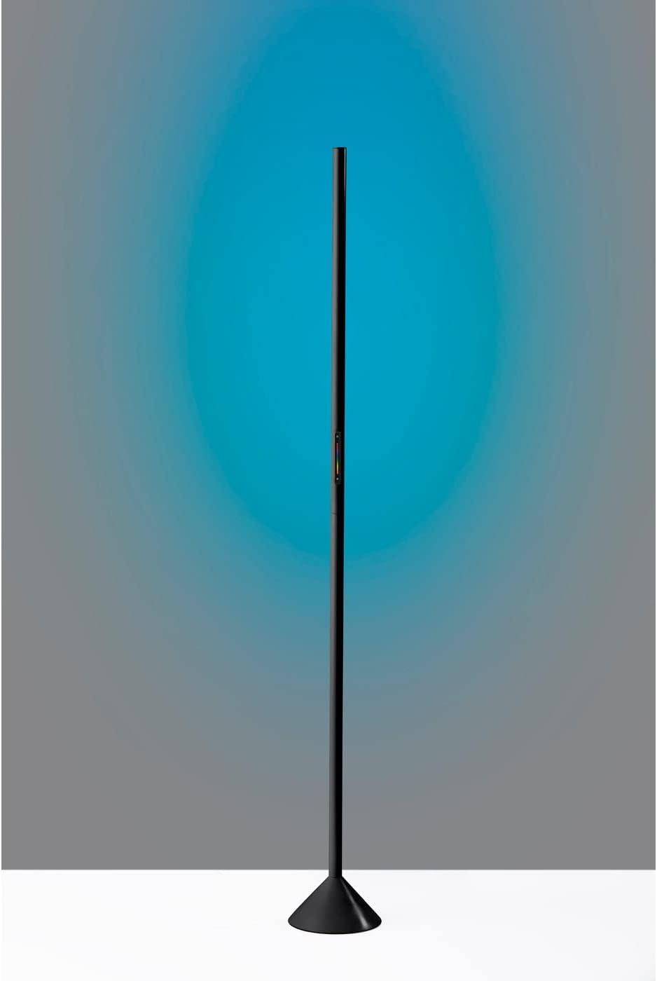 Simplee Adesso Cole LED Color Changing Wall Washer Floor Lamp, Matte Black, Plastic, Frosted Diffuser Shade