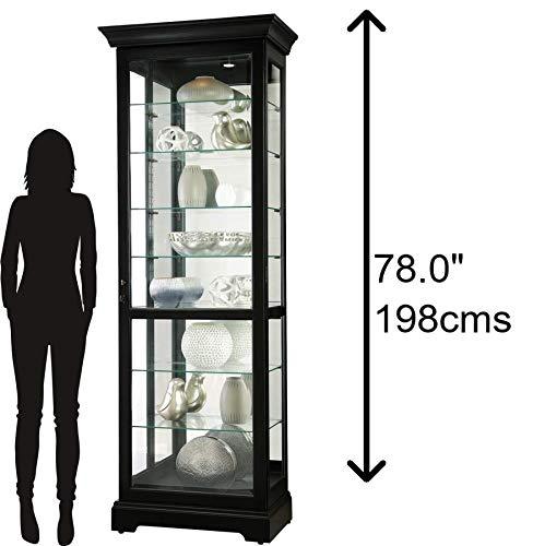 Greyleigh™ Flagg Lighted Gallery Style 5 Shelf Curio Cabinet in Onyx Black