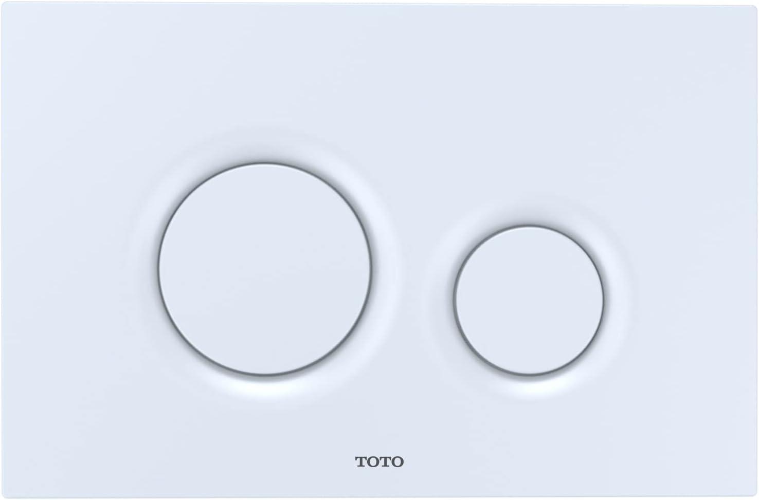 Stainless Steel Dual-Flush Wall Toilet Flush Plate