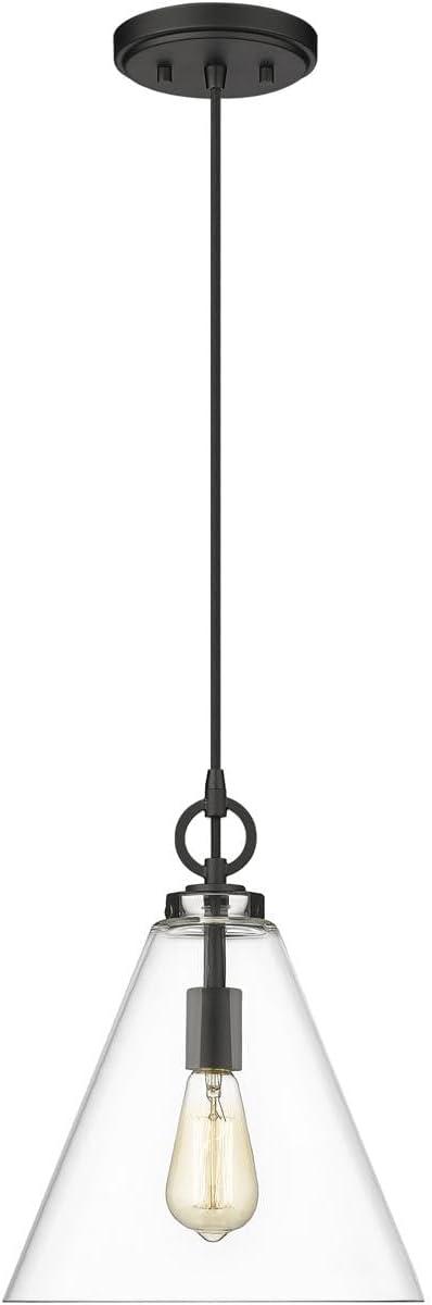 Z-Lite Harper 1 - Light Pendant in  Matte Black