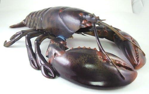 Replica 16 Inch Maine Ocean Coastal Sea Lobster Fishing Wall Decor