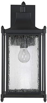 Dunnmore 1-Light Outdoor Wall Lantern in Black