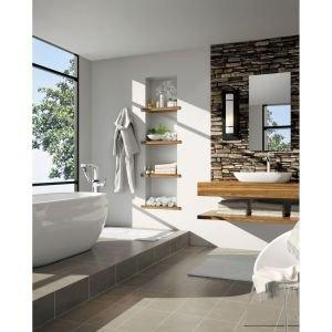 Tesla® Single hole Bathroom Faucet and Diamond Seal Technology