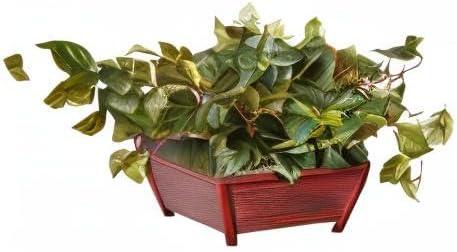 Nearly Natural Pothos with Rectangle Decorative Planter