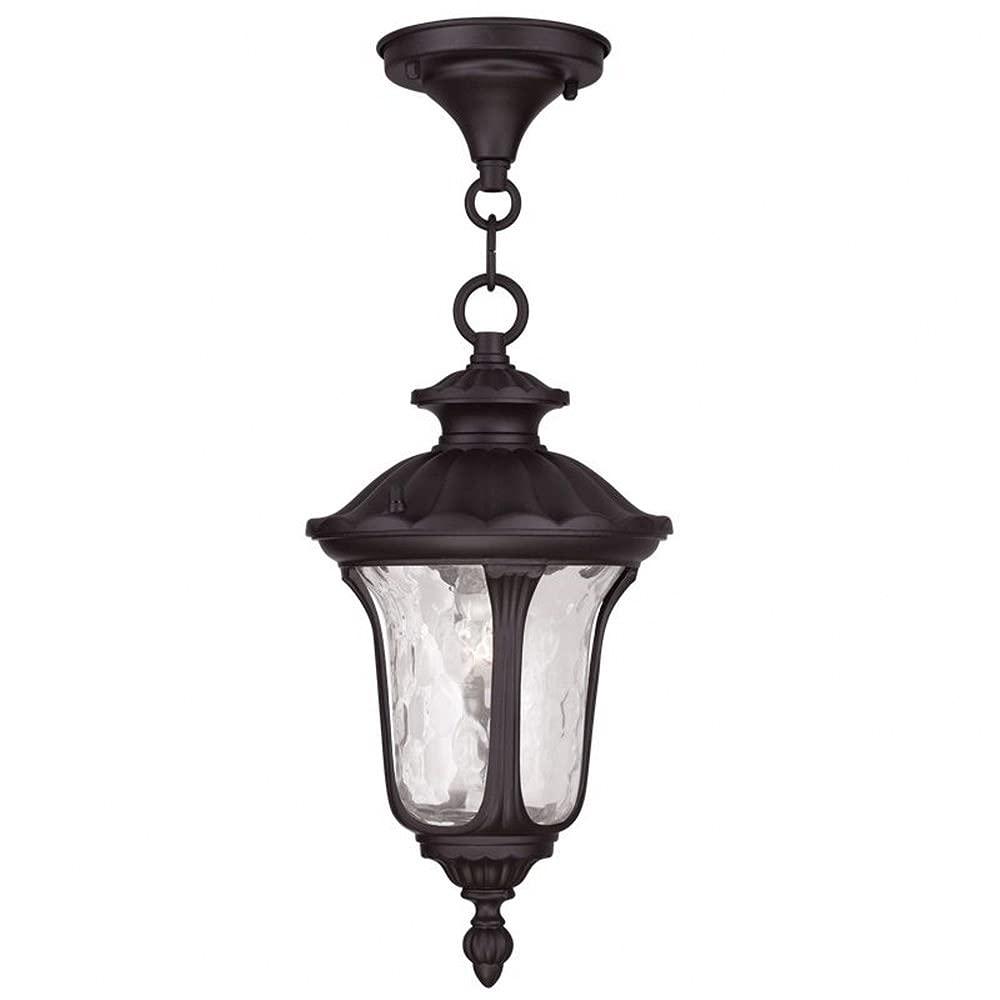 Livex Lighting Oxford 1 - Light Pendant in  Bronze