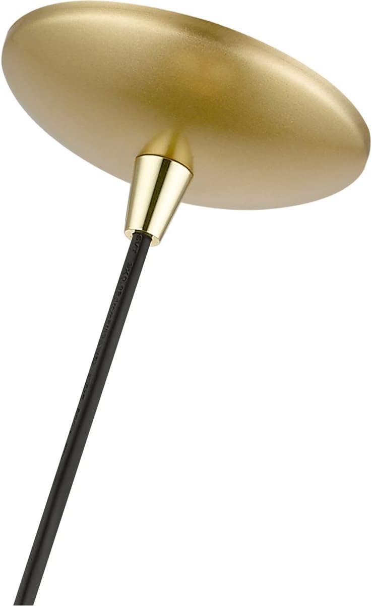 Livex Lighting Amador 1 - Light Pendant in Soft Gold/Polished Brass