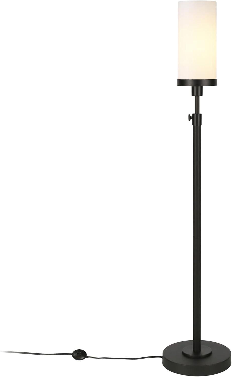 Evelyn&Zoe Modern Metal Floor Lamp with White Milk Glass Shade