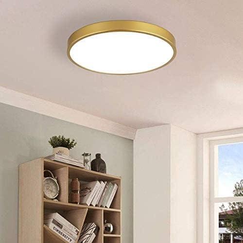 Brushed Gold 9 Inch Flush Mount Ceiling Light, 3000K-5000K Dimmable, 20W Low Profile Metal LED Ceiling Light, Round Flat Pane Surface Mount Lighting Fixture