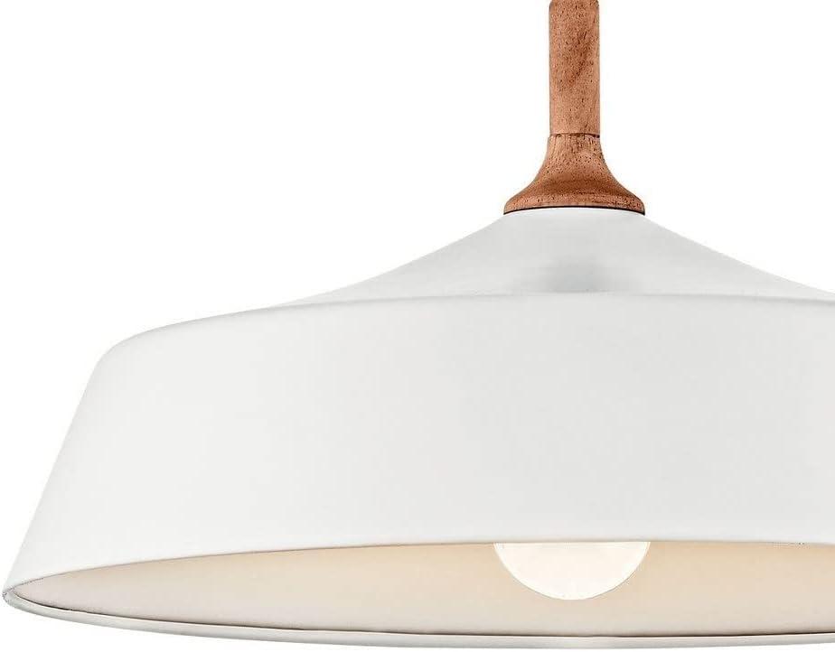 Danika 9.25" 1 Light Pendant with White finish and Wood Accents