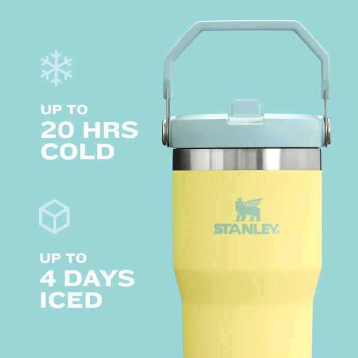 Stanley 20 oz Stainless Steel Ice Flow Flip Straw Tumbler Black 2.0: Dishwasher-Safe Drinkware for Hot & Cold Beverages