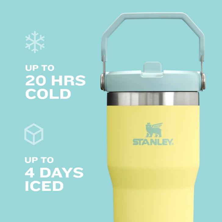 Stanley 20 oz Stainless Steel Ice Flow Flip Straw Tumbler Black 2.0: Dishwasher-Safe Drinkware for Hot & Cold Beverages