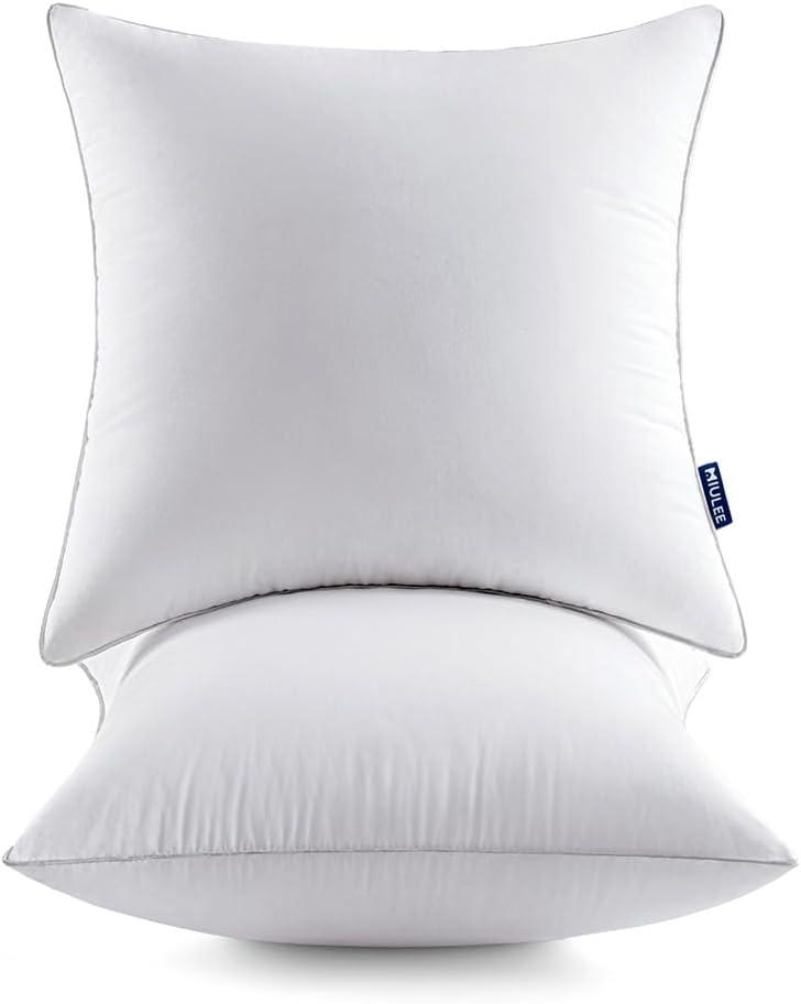 26'' White Cotton and Polyester Pillow Inserts Set of 2