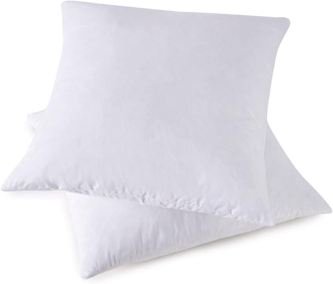 Phantoscope 12" x 20" Reversible Pillow Inserts (Set of 2)