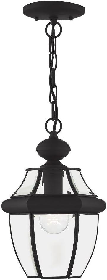 Black Glass 1-Light Indoor/Outdoor Pendant Lantern