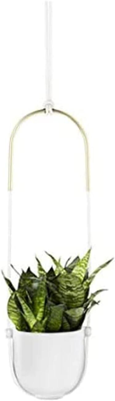 Bolo Ceramic Hanging Planter