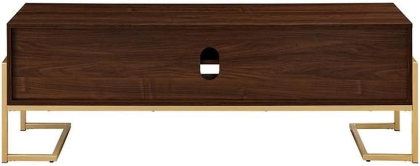 Pemberly Row 60" 2-Drawer Modern Wood Media Console - Dark Walnut