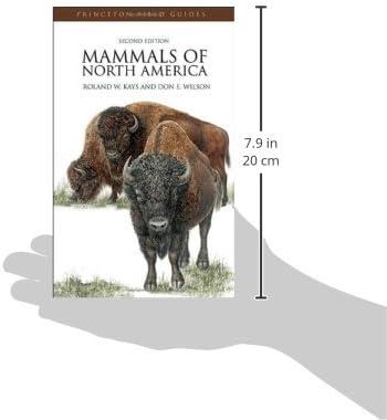 Mammals of North America - (Princeton Field Guides) 2nd Edition by  Roland W Kays & Don E Wilson (Paperback)