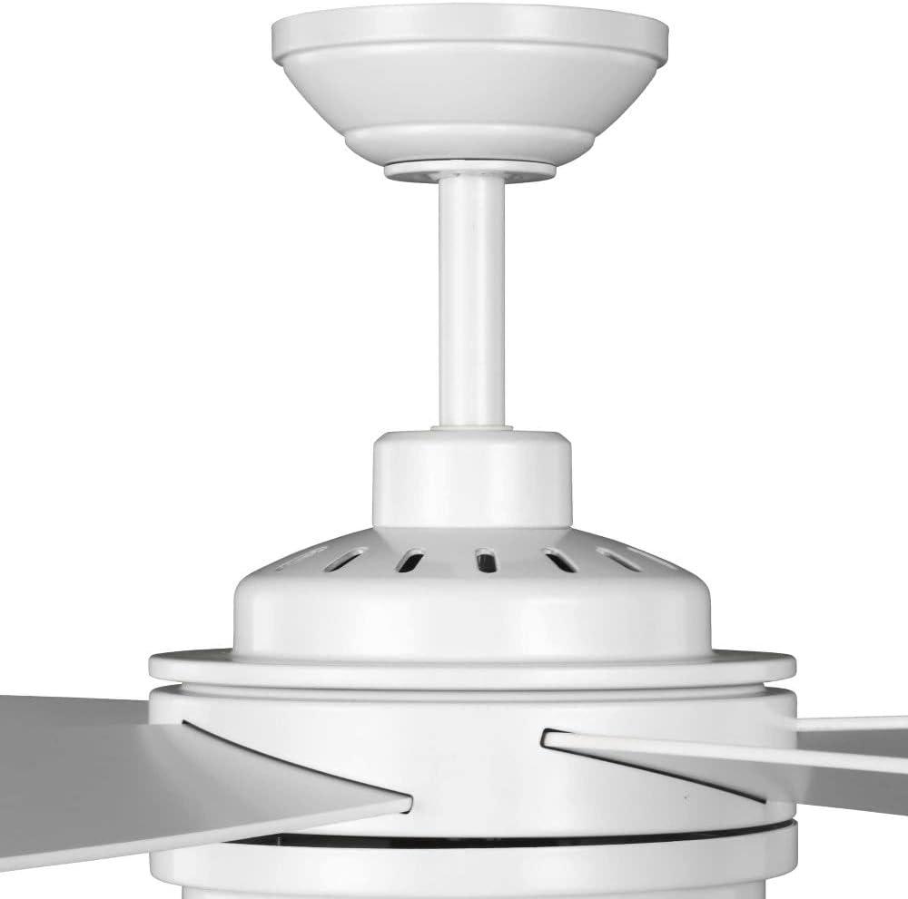 Aiyla 54'' Ceiling Fan with LED Lights