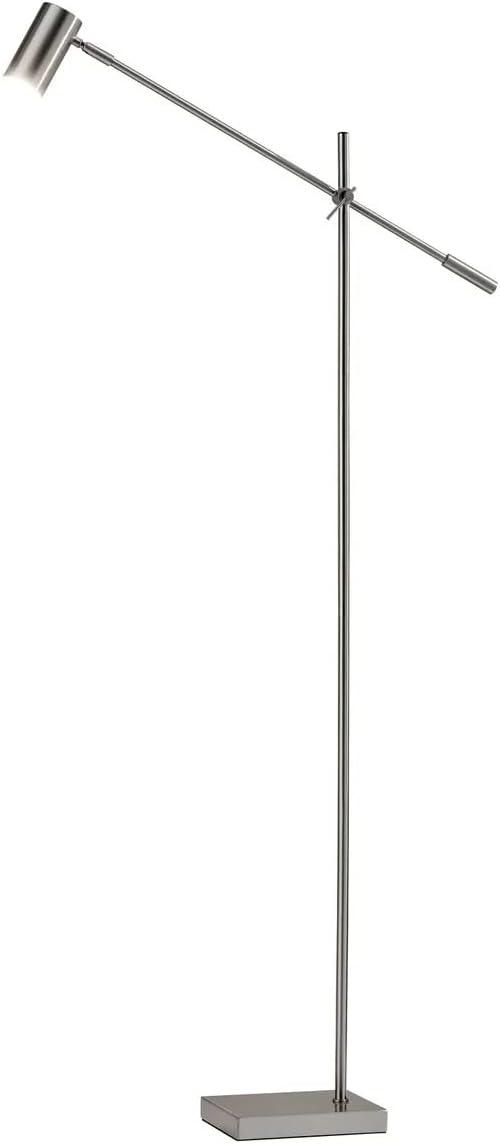 Flemings 63'' Dimmable LED Floor Lamp