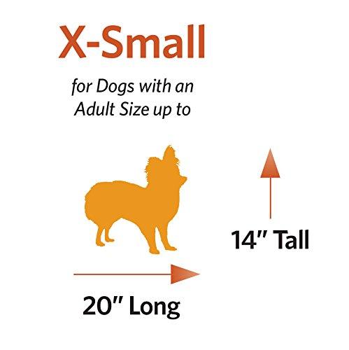 Midwest Homes For Pets MidWest Homes for Pets Newly Enhanced Single Door iCrate Dog Crate Includes Divider Panel