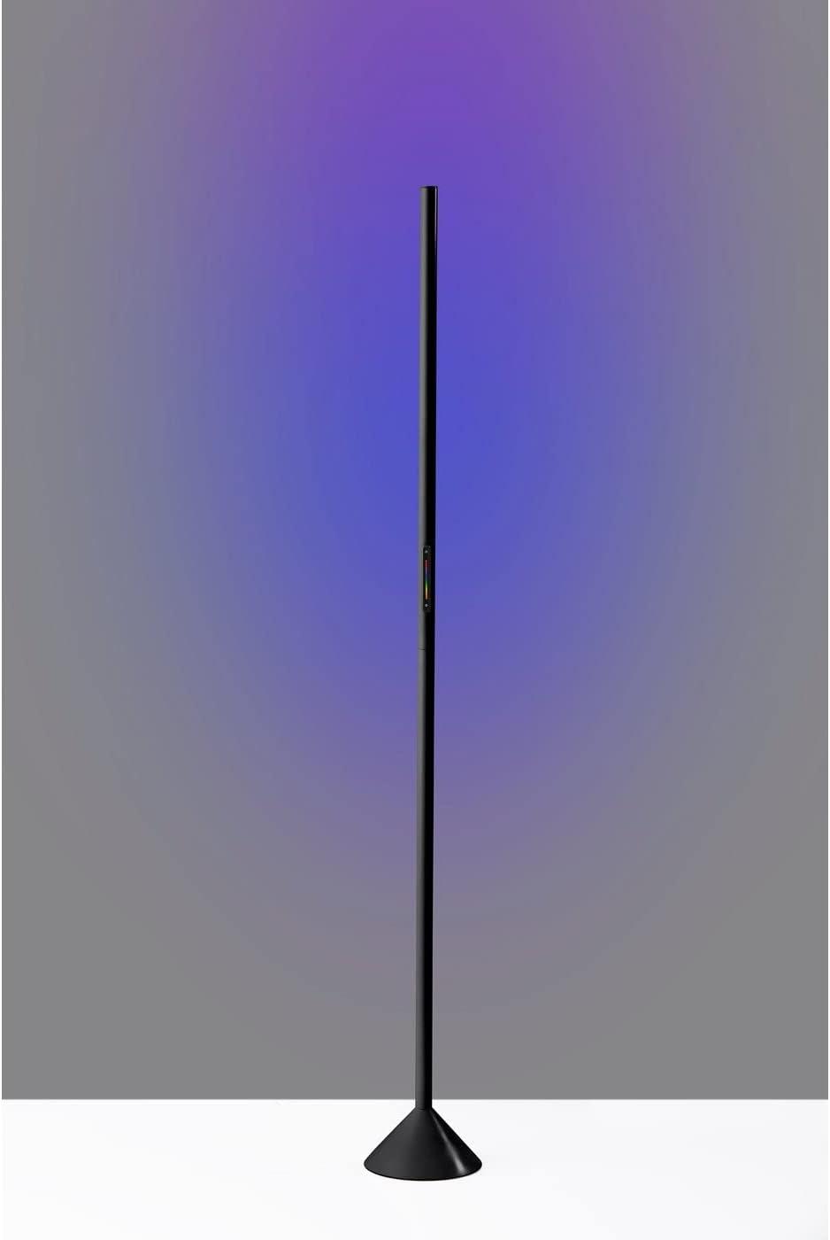 Simplee Adesso Cole LED Color Changing Wall Washer Floor Lamp, Matte Black, Plastic, Frosted Diffuser Shade