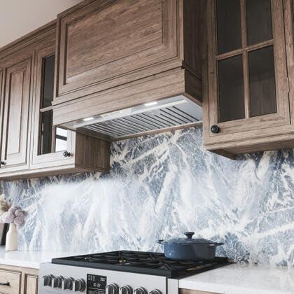 Zephyr Zephyr Monsoon Mini II 30" 600 CFM Insert Range Hood with LED Lights in Stainless Steel