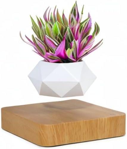 Levitating Air Bonsai Pot, Rotation Flower Pot Planters, Magnetic Levitation Suspension Floating Pot, Potted Plant Home Desk Decor in Flower Pots & Planters from Home & Garden on (Light Color) C49