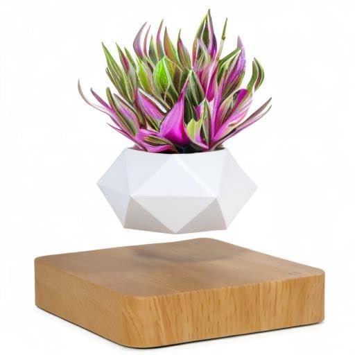 Levitating Air Bonsai Pot, Rotation Flower Pot Planters, Magnetic Levitation Suspension Floating Pot, Potted Plant Home Desk Decor in Flower Pots & Planters from Home & Garden on (Light Color) C49
