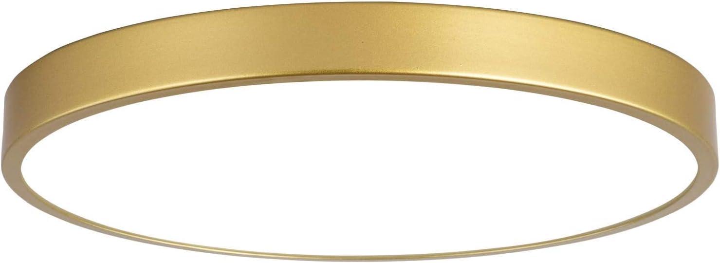 Brushed Gold 9 Inch Flush Mount Ceiling Light, 3000K-5000K Dimmable, 20W Low Profile Metal LED Ceiling Light, Round Flat Pane Surface Mount Lighting Fixture