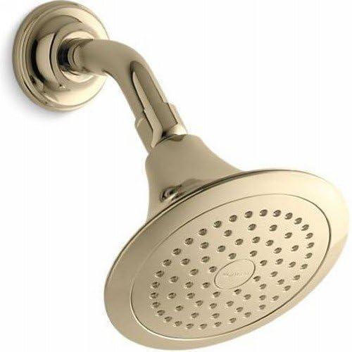 Forte® Wall-Mount Single-Function Showerhead with 66-Nozle 5.5 Inch Sprayface, 2.5 GPM