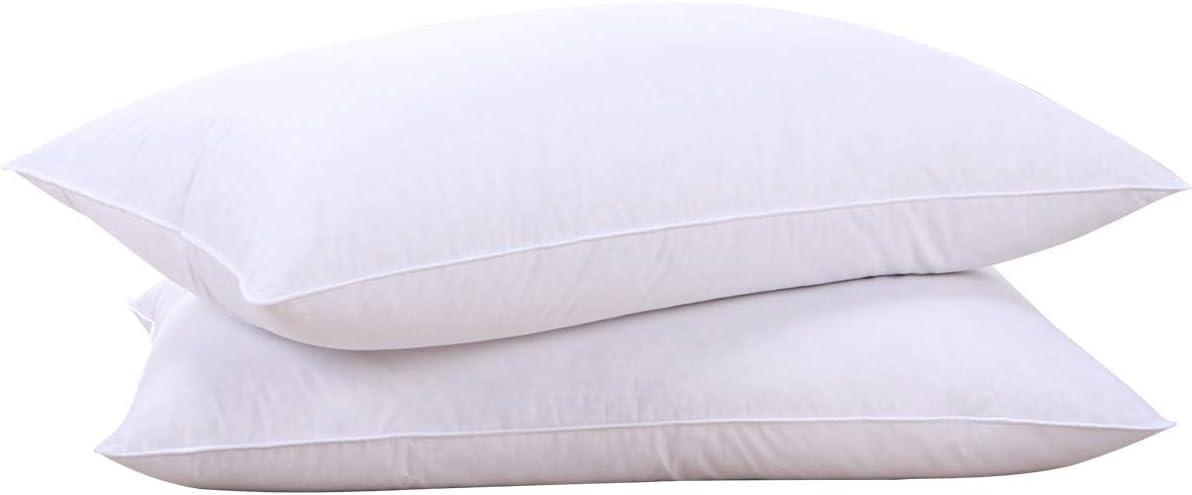 Standard White Goose Feather Down Pillows with Cotton Cover, Set of 2