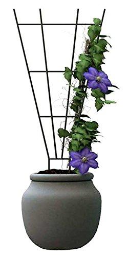 Green 36-Inch Powder Coated Steel Fan Pot Trellis