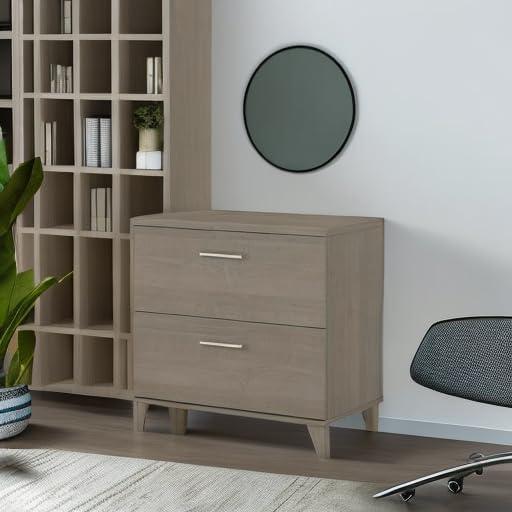 Magomed 2-Drawer Lateral Filing Cabinet