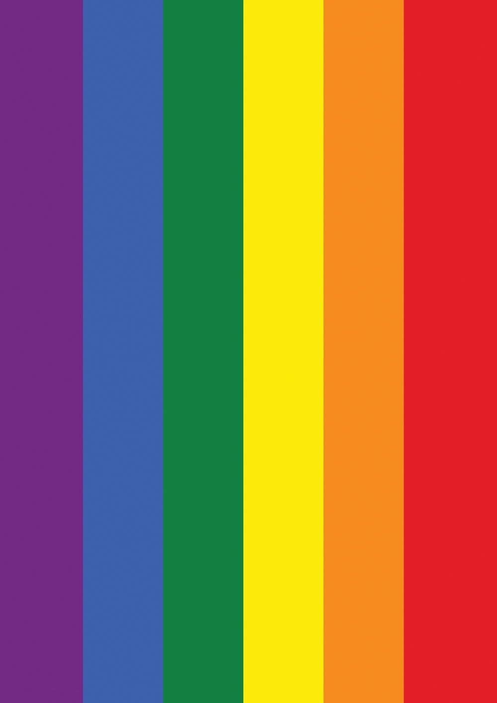 Toland Home Garden Rainbow Pride LGBTQIA+ Pride Flag Double Sided 12x18 Inch