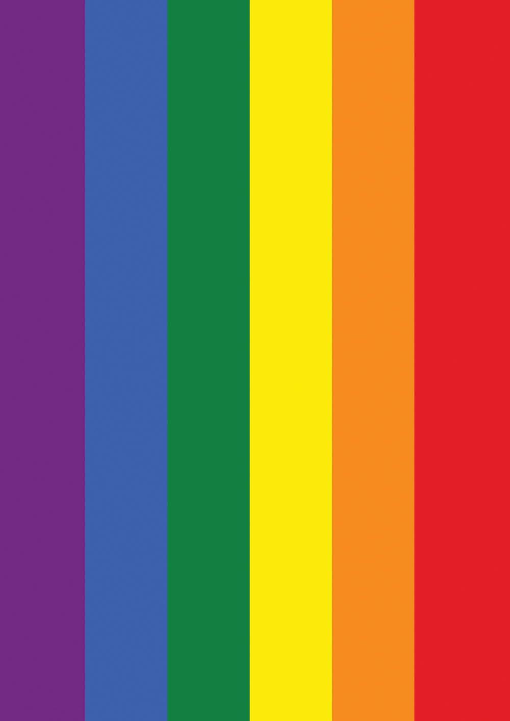 Toland Home Garden Rainbow Pride LGBTQIA+ Pride Flag Double Sided 12x18 Inch