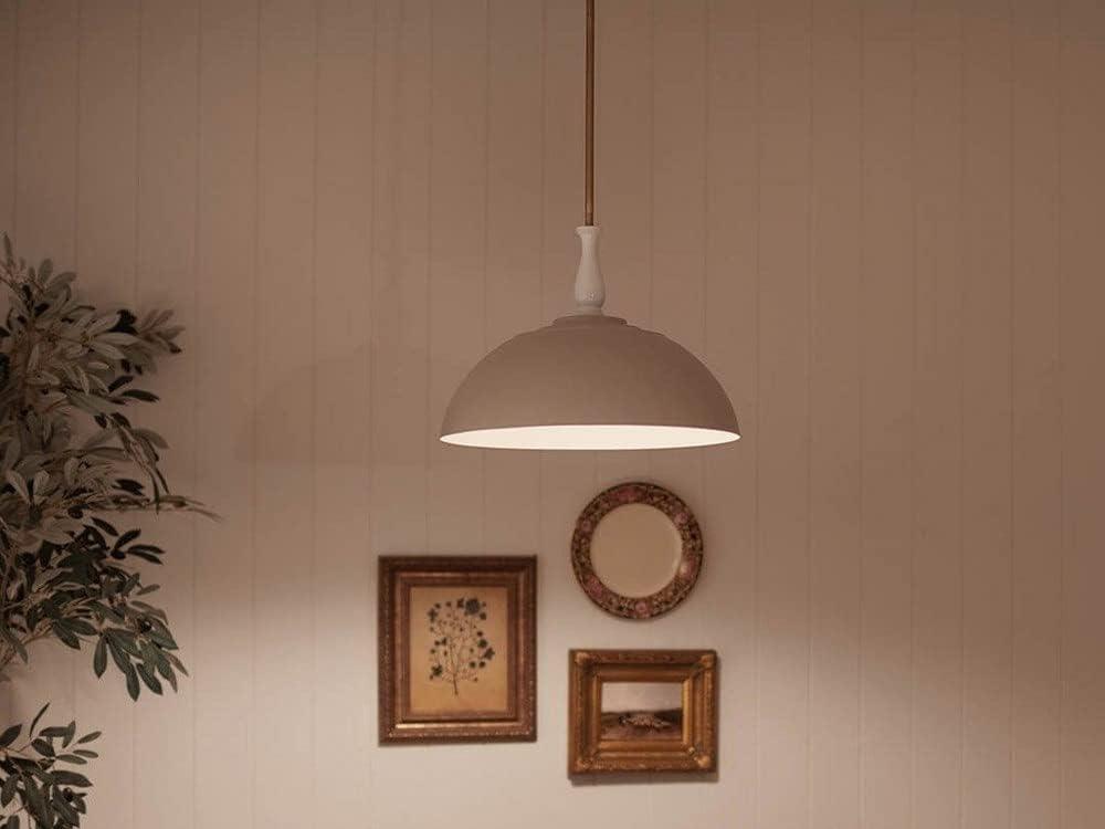 Kichler Lighting 1 - Light Single Pendant