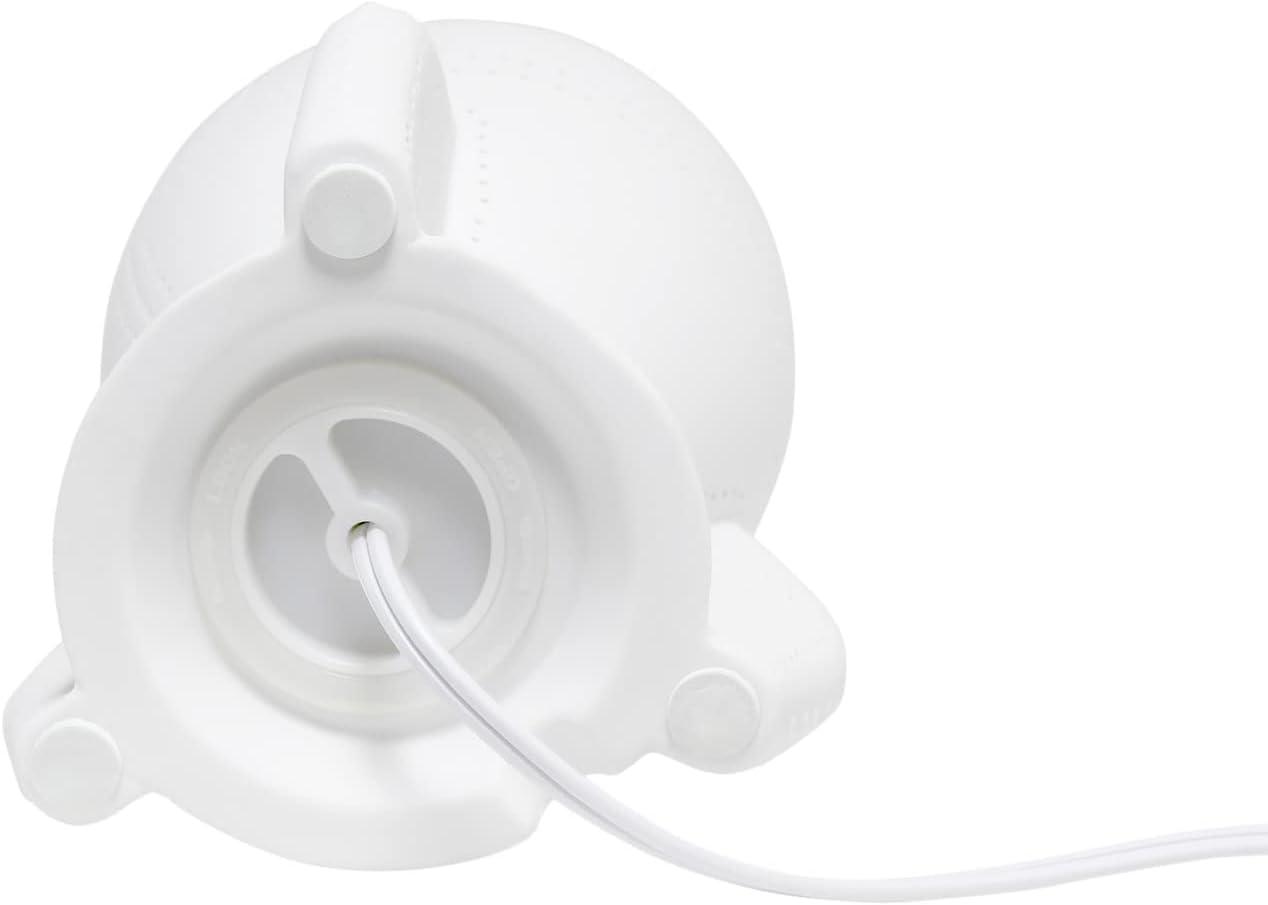Three Posts™ Baby & Kids Jamya Porcelain Novelty Lamp