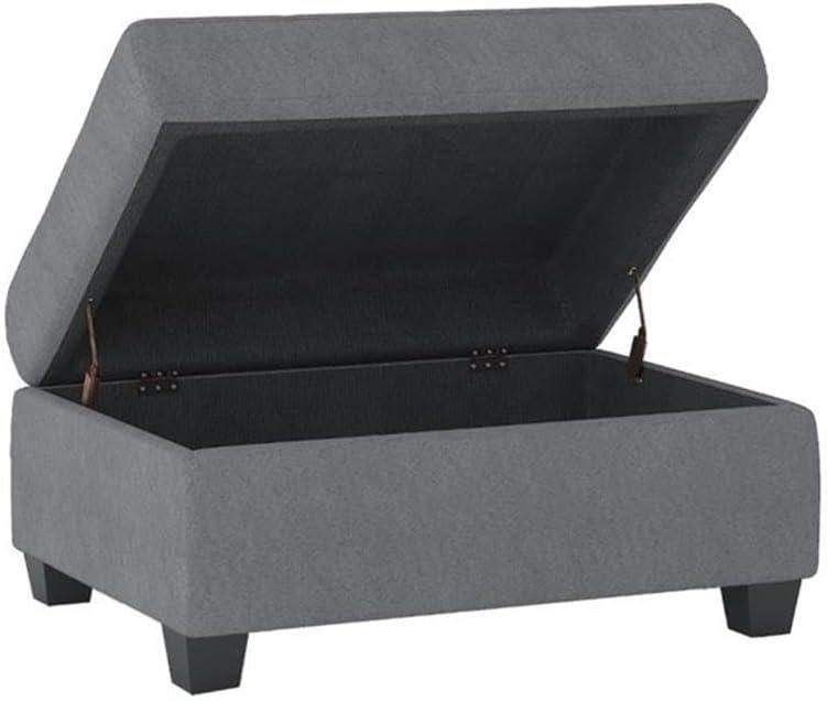 Lexicon Maston Microfiber Ottoman with Storage in Chocolate