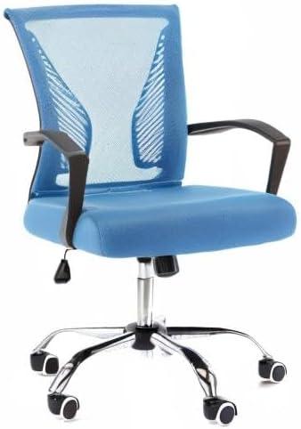 Homehours -Back Office Task Chair - Ergonomic Back Supporting Mesh Back Desk Chair (Black/Blue)