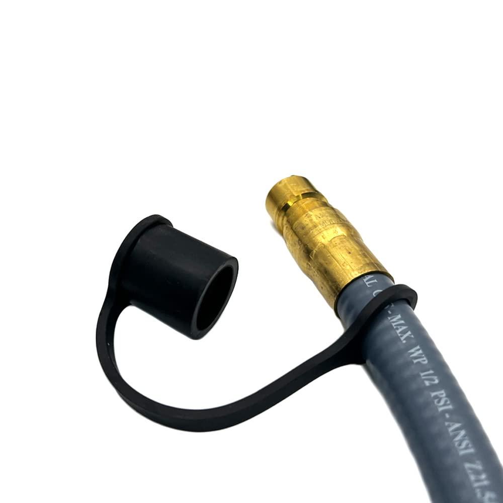 Natural Gas Conversion Kit