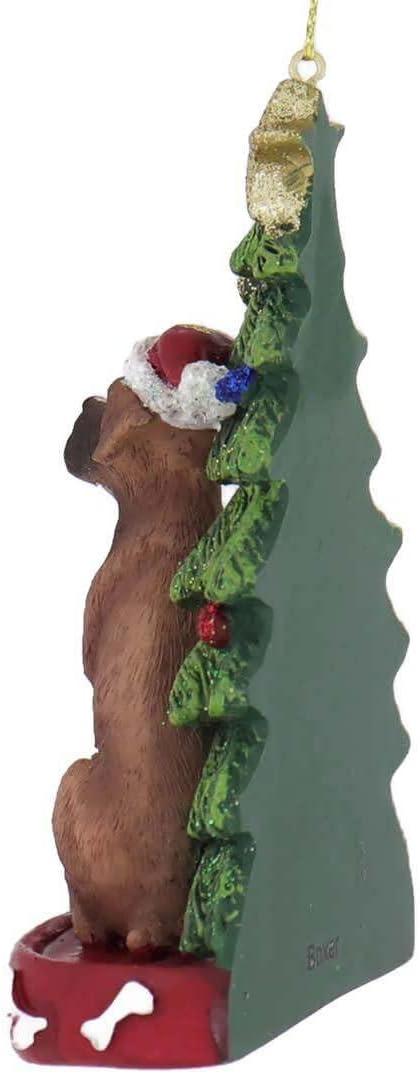Kurt Adler Boxer with Tree and Lights Ornament (C7954BO)