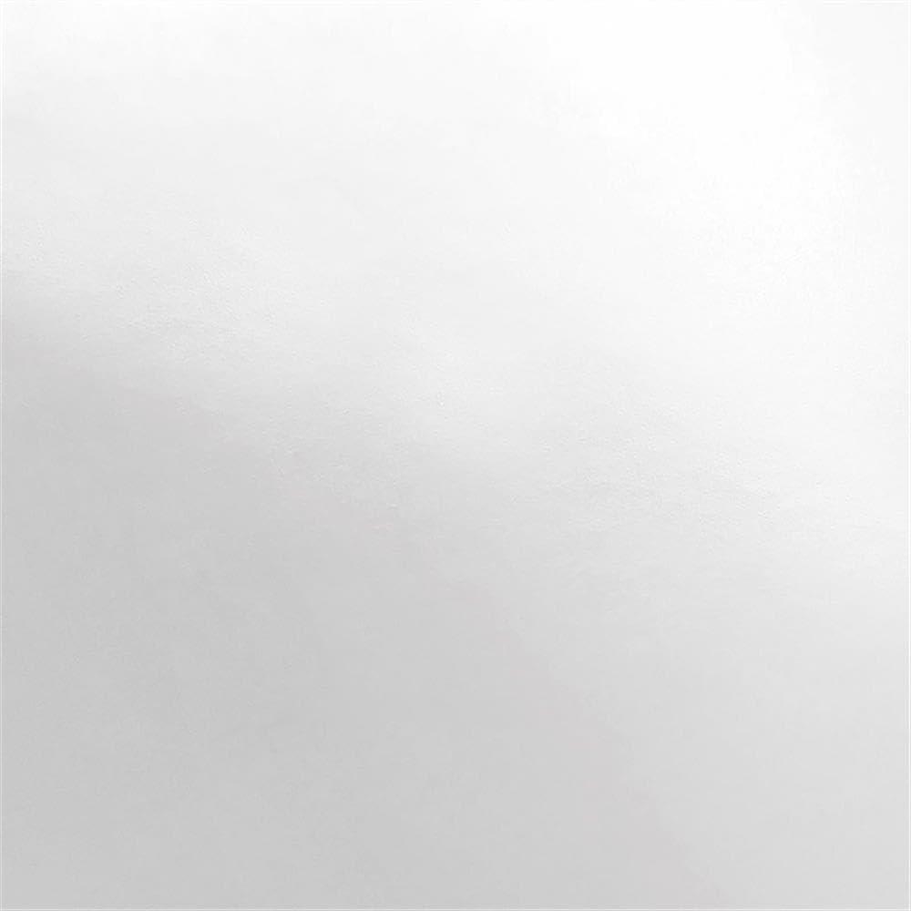 Evelyn&Zoe Alexis 45" Wide Rectangular Coffee Table, White
