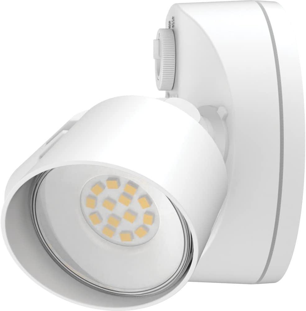 Lithonia Lighting 2 - Head Hardwired Dusk to Dawn Outdoor Security Flood Light