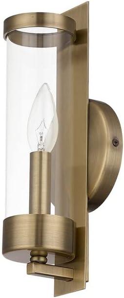 Modern Elegance 1-Light Polished Brass Sconce with Clear Glass